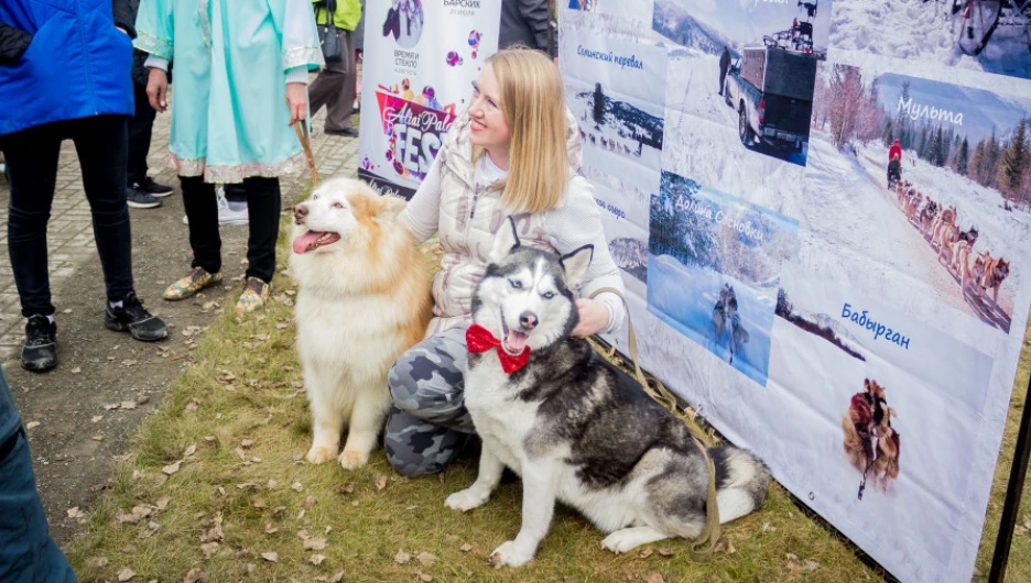 "Цветение маральника 2018". Бирюзовая Катунь.