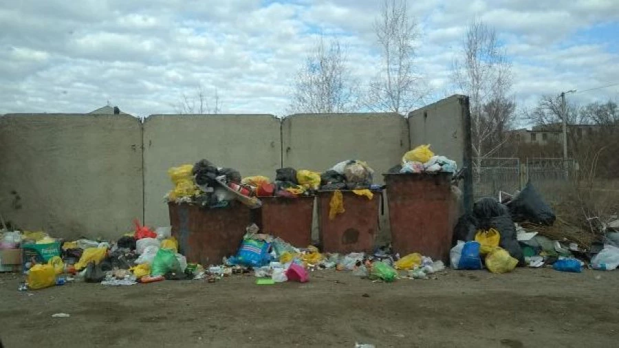 Свалка в Рубцовске Свалка в Рубцовске