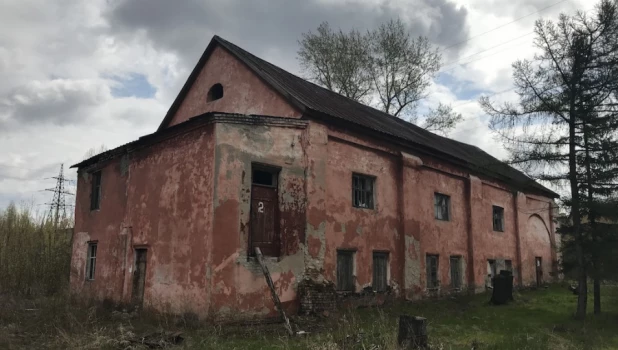 На территории бывшей спичечной фабрики (сереброплавильного завода), май 2018 года. Фото: altapress.ru.