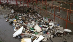 В Барнауле у моста через Пивоварку накопилась куча мусора.