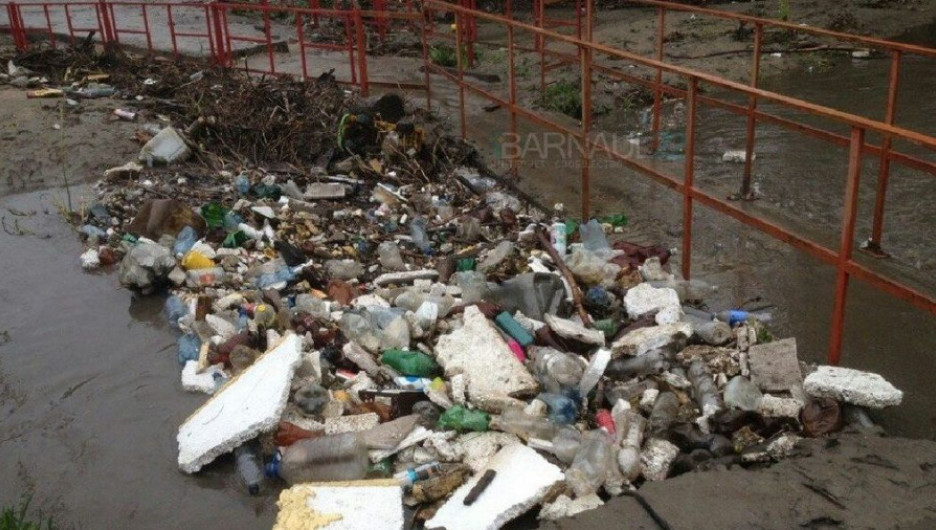 Барнаульцы будут соревноваться в сборе мусора на Пивоварке и Барнаулке