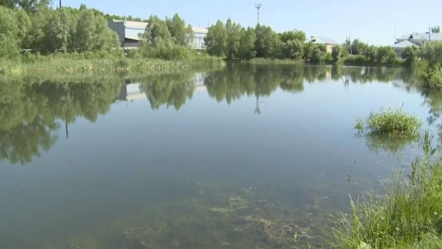 В Бийске пытаются спасти озеро Ковалевское, которое превращается в болото.