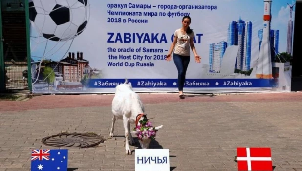 Животные выбирают победителей в матчах чемпионата мира по футболу-2018.