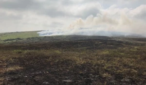 Тушение природного пожара в Новокалманке.