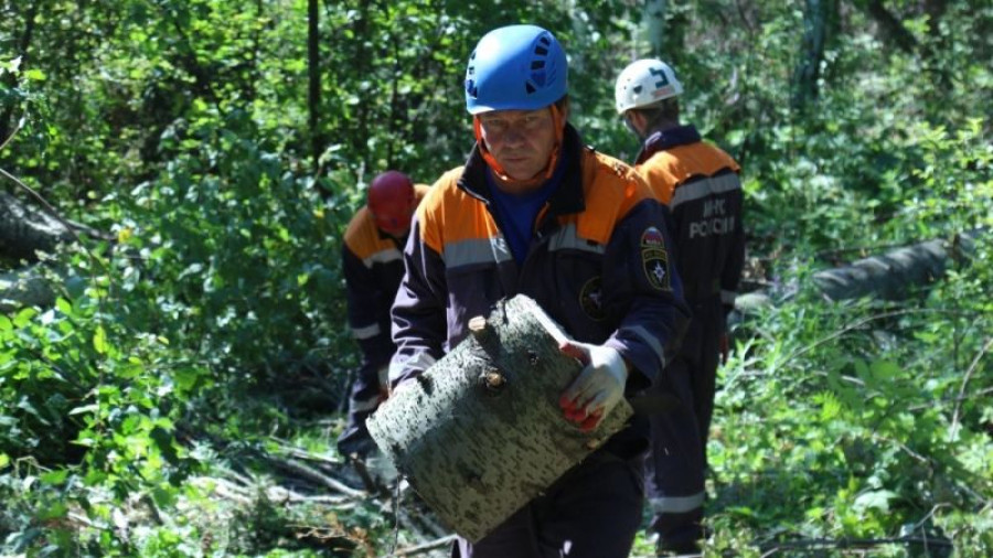 Спасатели МЧС России ведут работу на территории пострадавшего от непогоды дендрария