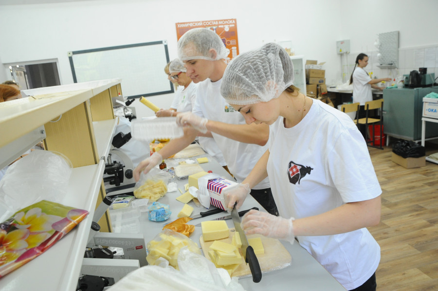 В Барнауле проходит профессиональная дегустация сыра 