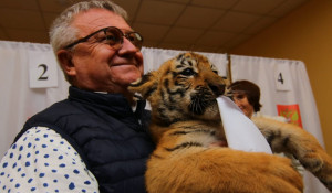 Сергей Писарев пришел с тигрятами на выборы.