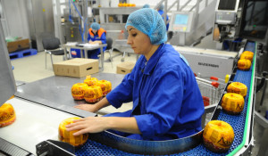На "Рубцовском молочном заводе" реализовали новый инвестпроект 