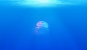 Медуза.