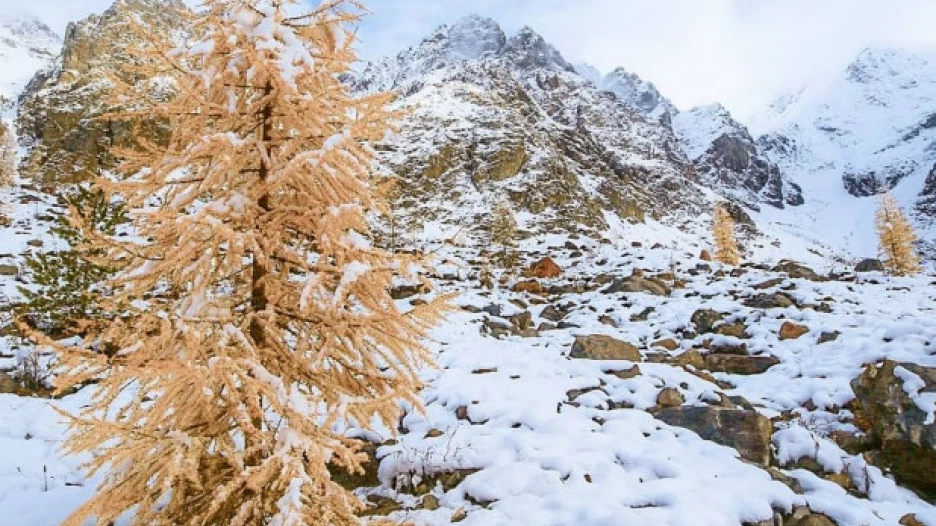 Золотая осень Алтая.