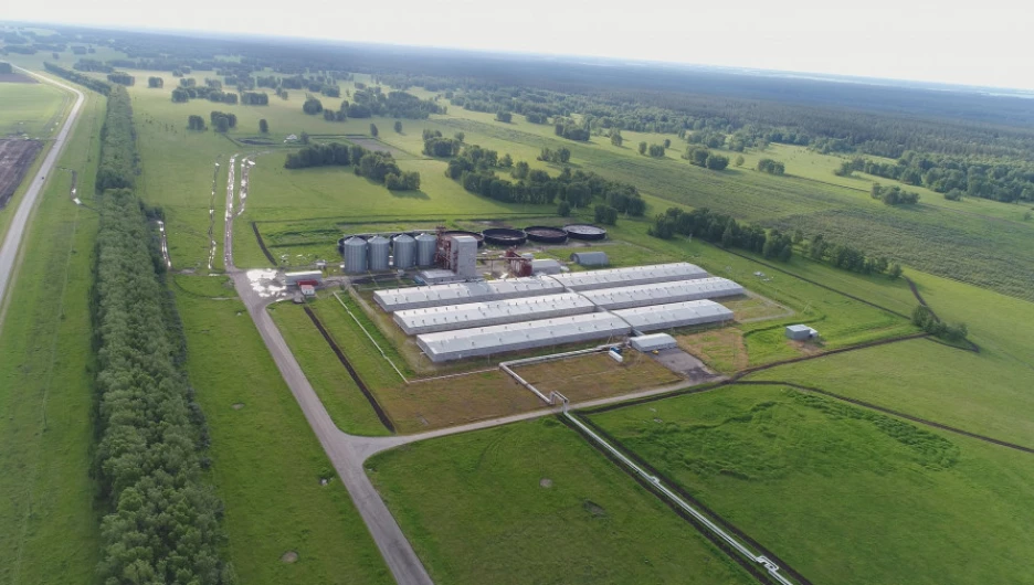 Компания «Барнаульский пищевик».