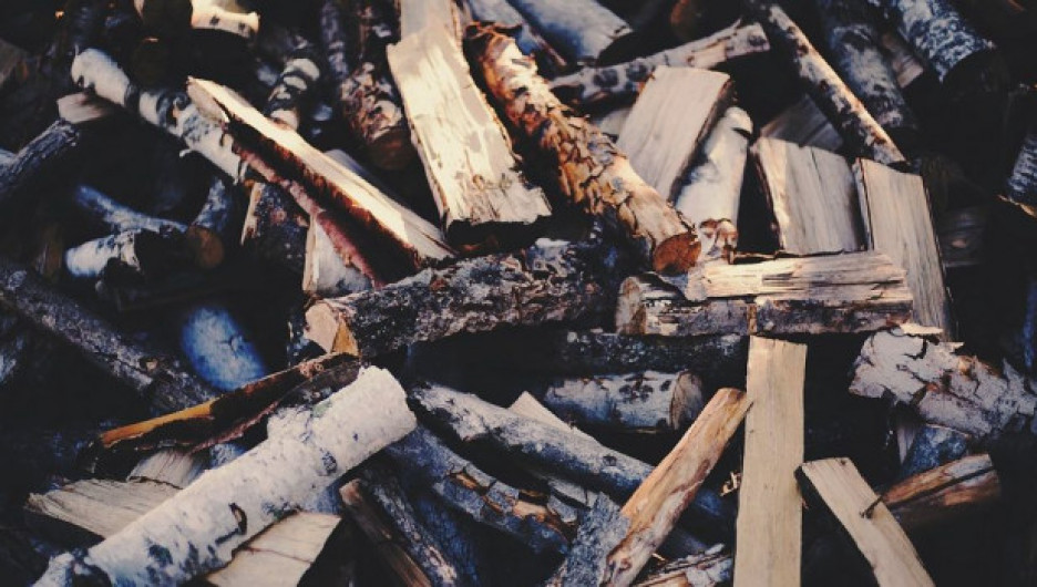 Житель Алтайского края незаконно нарубил дров на 400 тыс. рублей