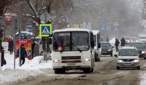 Автобус 41. Общественный транспорт.