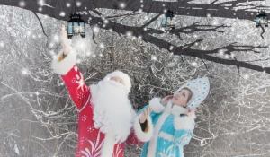 Дед Мороз и Снегурочка.