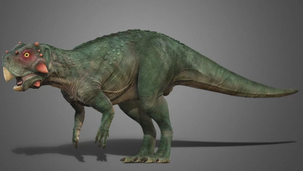 Пситтакозавр сибирский, реконструкция.