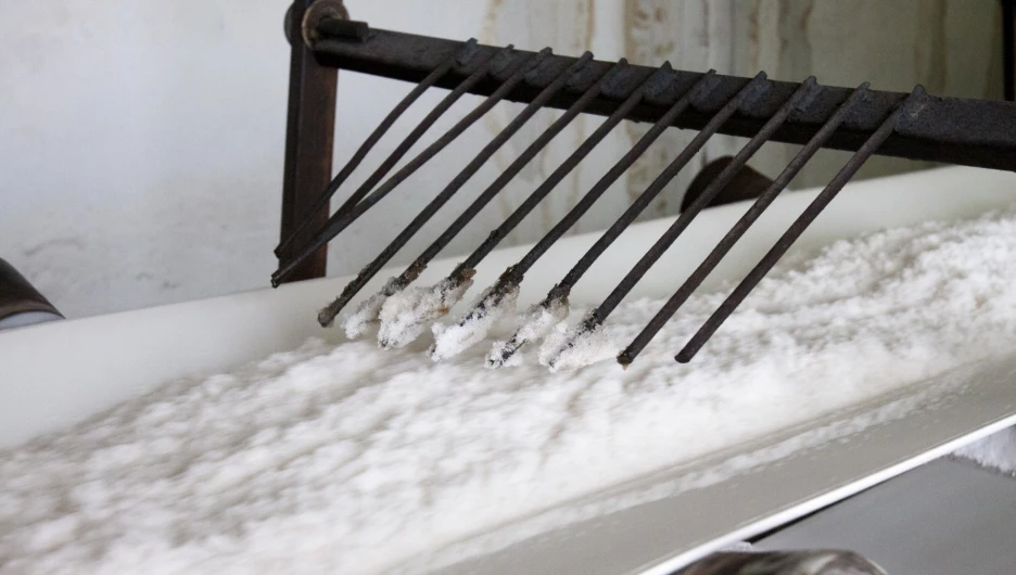 Черемновский сахарный завод завершает сезон переработки сырья 