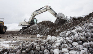 Черемновский сахарный завод завершает сезон переработки сырья 