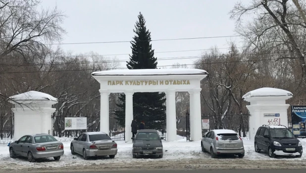 В парке "Изумрудный" в январе 2019 года