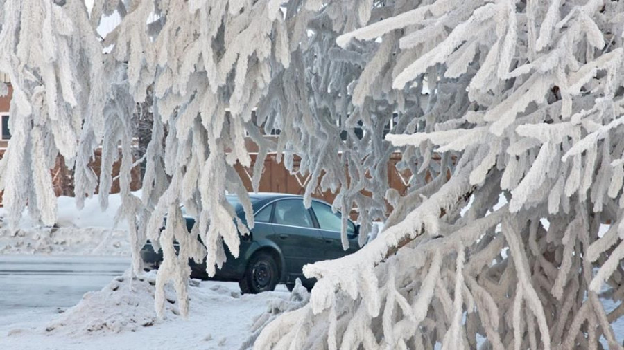 Морозы в Барнауле