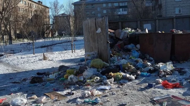 Бродячие собаки растаскивают мусор из переполненных баков в Славгороде.