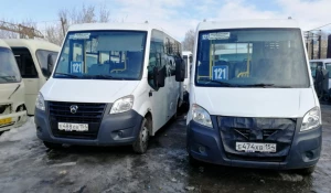 Автобусы компании "Транс-Лайн".