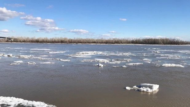 Ледоход на Оби. Апрель 2019 года.