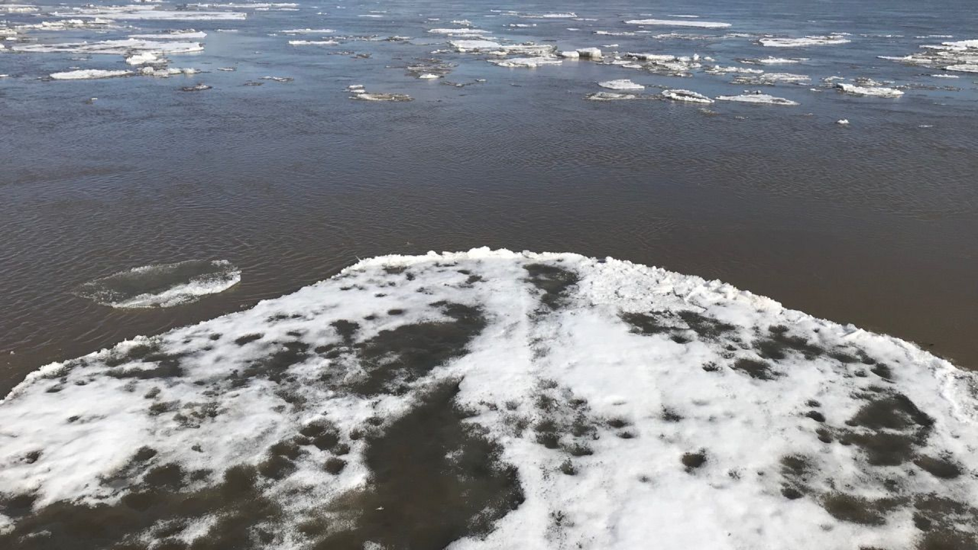 Ледоход на оби сегодня. Ледоход Барнаул. Река вскрылась ото льда. Льдина на Оби. Освобождение реки ото льда называется.