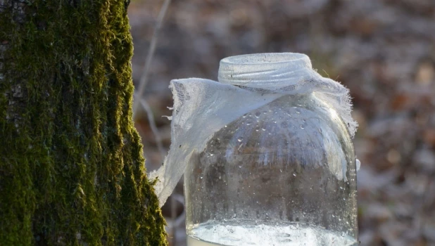 Березовый сок. Банка