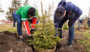 Озеленение.