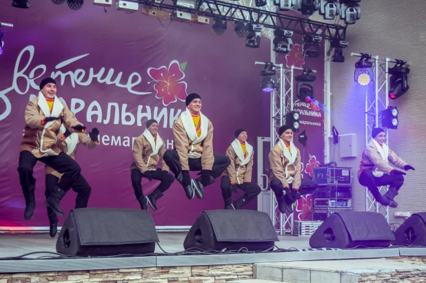 Праздник "Цветение маральника" - 2019.