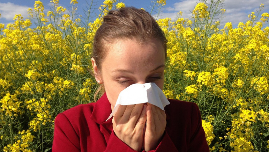 Девушка в поле. Аллергия