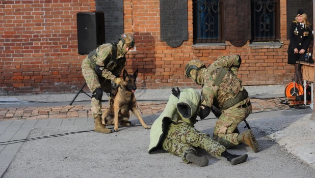 День пограничника-2019.