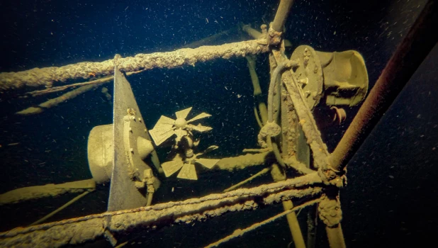 Телецкое озеро.