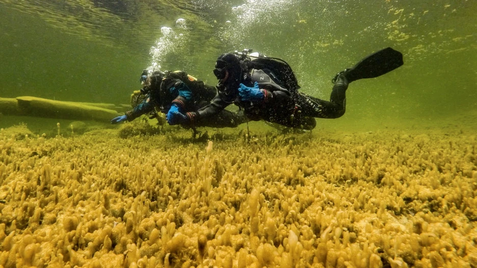 Телецкое озеро.