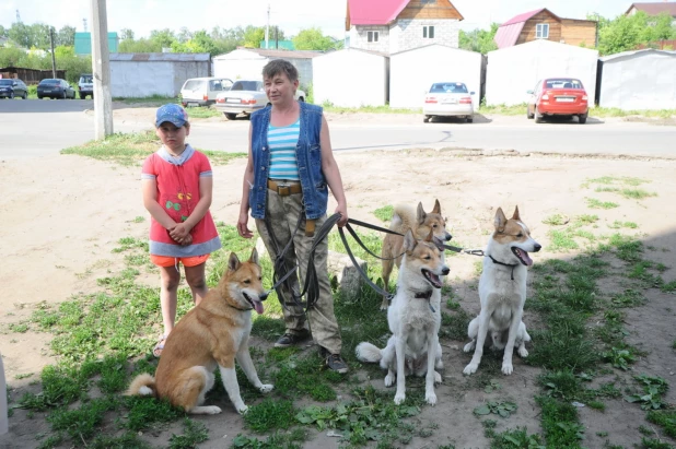 Собаки Надежды Фроловой.