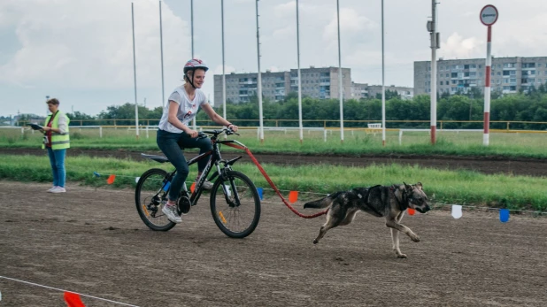 Велогонки с собаками "След 2019".