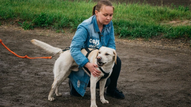 Велогонки с собаками "След 2019".