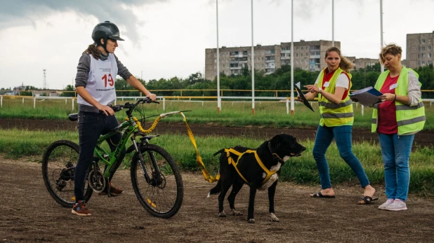 Велогонки с собаками "След 2019".