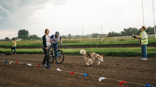 Велогонки с собаками "След 2019".