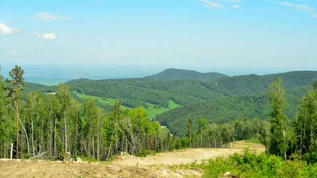 Гора Глухариная в Белокурихе. 