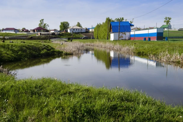 В селе Дружба Целинного района.