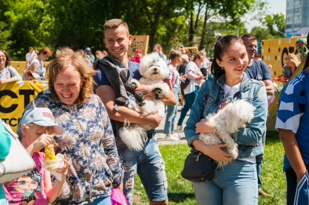 Городской пикник «Поляна».