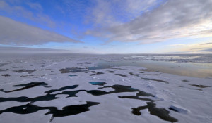 Северный Ледовитый океан.