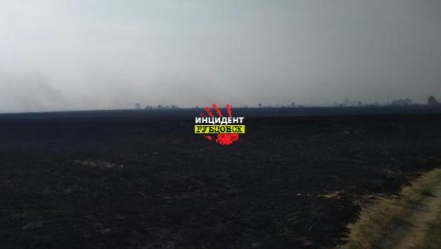 В Рубцовском районе горела сухая трава на полях.