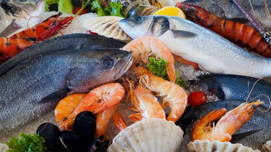 Мореродукты. Мореродукты.