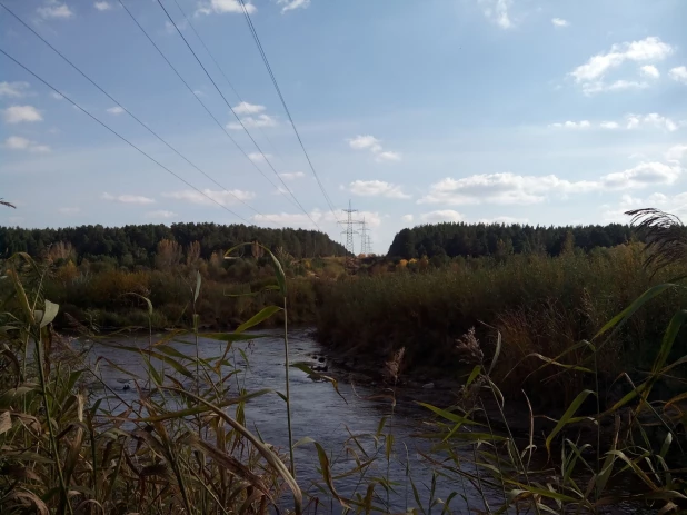 В районе бывшего пруда Лесной. Осень, 2018 год.