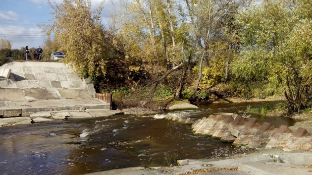 В районе бывшего пруда Лесной. Осень, 2018 год.