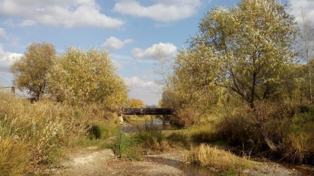 В районе бывшего пруда Лесной. Осень, 2018 год.