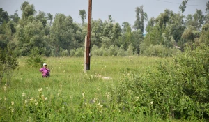 В Барнауле впервые за 30 лет капитально отремонтировали дорогу в Затон.