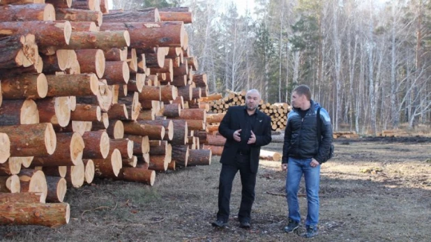 В заказнике регионального значения «Мамонтовский» усилен режим особой охраны.